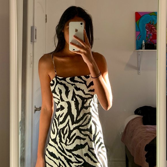 Zara Zebra Print Dress - Picture 3 of 4
